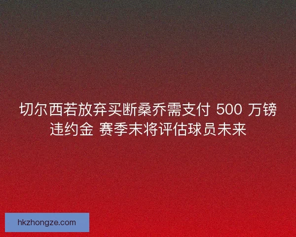 切尔西若放弃买断桑乔需支付 500 万镑违约金 赛季末将评估球员未来
